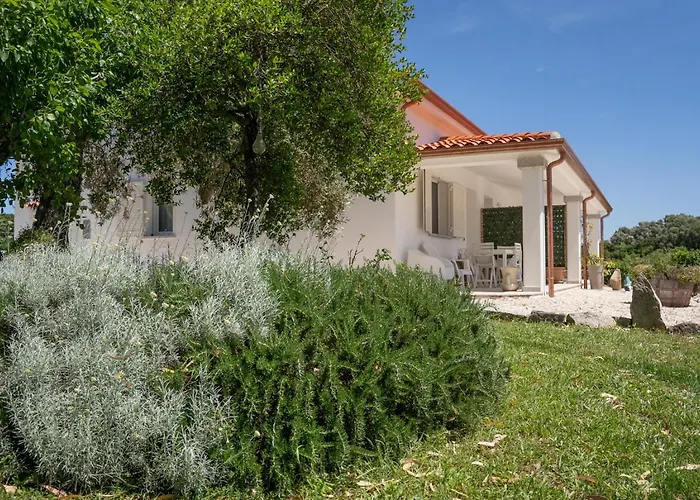 Сasa de vacaciones - Alebea - *