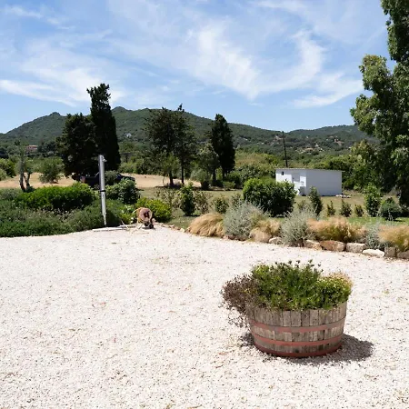 Holiday home - Alebea -