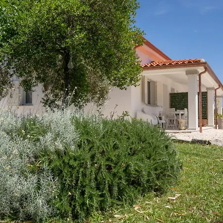 Holiday home - Alebea - *