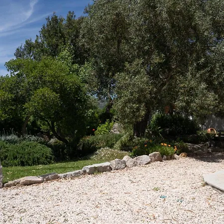 Holiday home - Alebea -